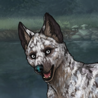 ((Pup))Pale Birch Headshot