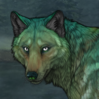 Lykoi Headshot