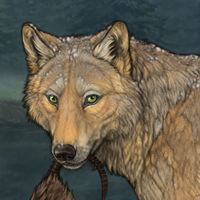 Wolf Headshot