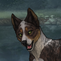 New Puppy Headshot