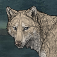 Wolfus Headshot