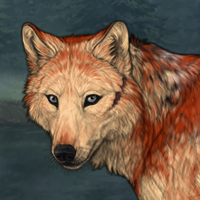 Wolf Headshot