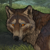 Waldhund Headshot