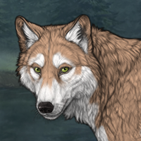 𝓢𝓪𝓷𝓭𝓼𝓽𝓸𝓷𝓮 Headshot