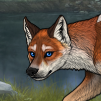 Foxy, hunter Headshot