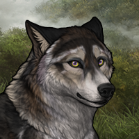 Wolf Headshot