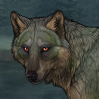 Forest Spirit Headshot