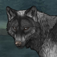 Wolf Headshot