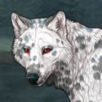 Dalmatian Pie Headshot