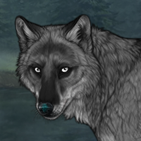 Skoll Headshot