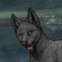 Male-GrayDarker Headshot