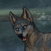 6M T2 Husky Headshot