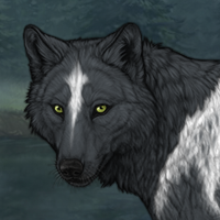 Wolf Headshot