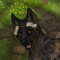 Shikoba Headshot