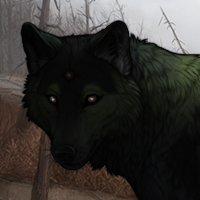 Wolf Headshot