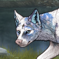 Piebald: Uneven Headshot