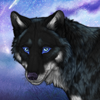 1th Night Howl Headshot