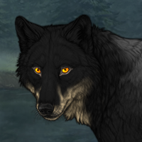 Wolf Headshot