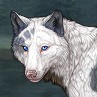 Lumi Headshot