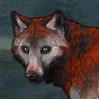 Wolf Headshot