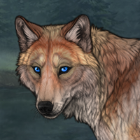 stalker1 Headshot