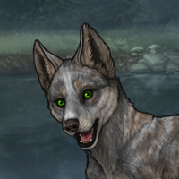 R&C-T1-M Headshot