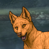 Enclave Puppy Headshot