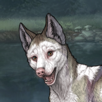 Piebald: Frontal Headshot