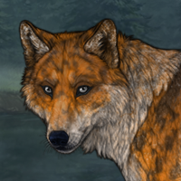 FoxFoot Headshot