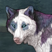 Piebald Headshot