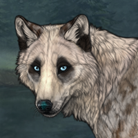 Badger Merpan Headshot