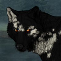 Scatterpelt Headshot