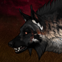 Wolf Headshot