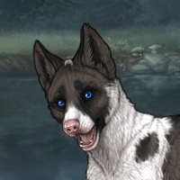 Piebald Headshot