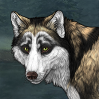 Wolf Headshot