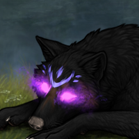 Wolf Headshot
