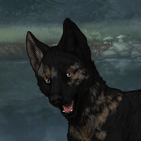 Tipisk Headshot