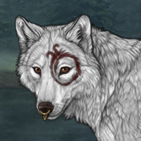 Wolf Headshot