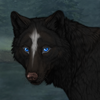 Black Pelt Headshot