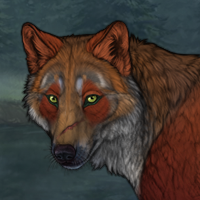 Baccata Headshot