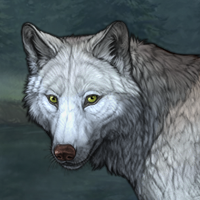 Wolf Headshot