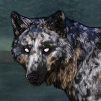 Shoreside Headshot