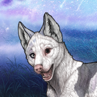Quartz Het W&B Headshot