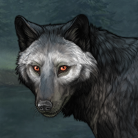 Wolf Headshot