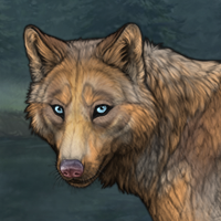 Wolf Headshot