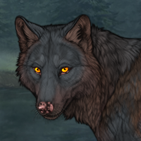 Faurbati Headshot