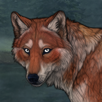 Wolf Child Headshot