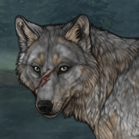 Birch-Bark Headshot