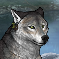 Wolf Headshot