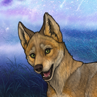 Shikobah Headshot